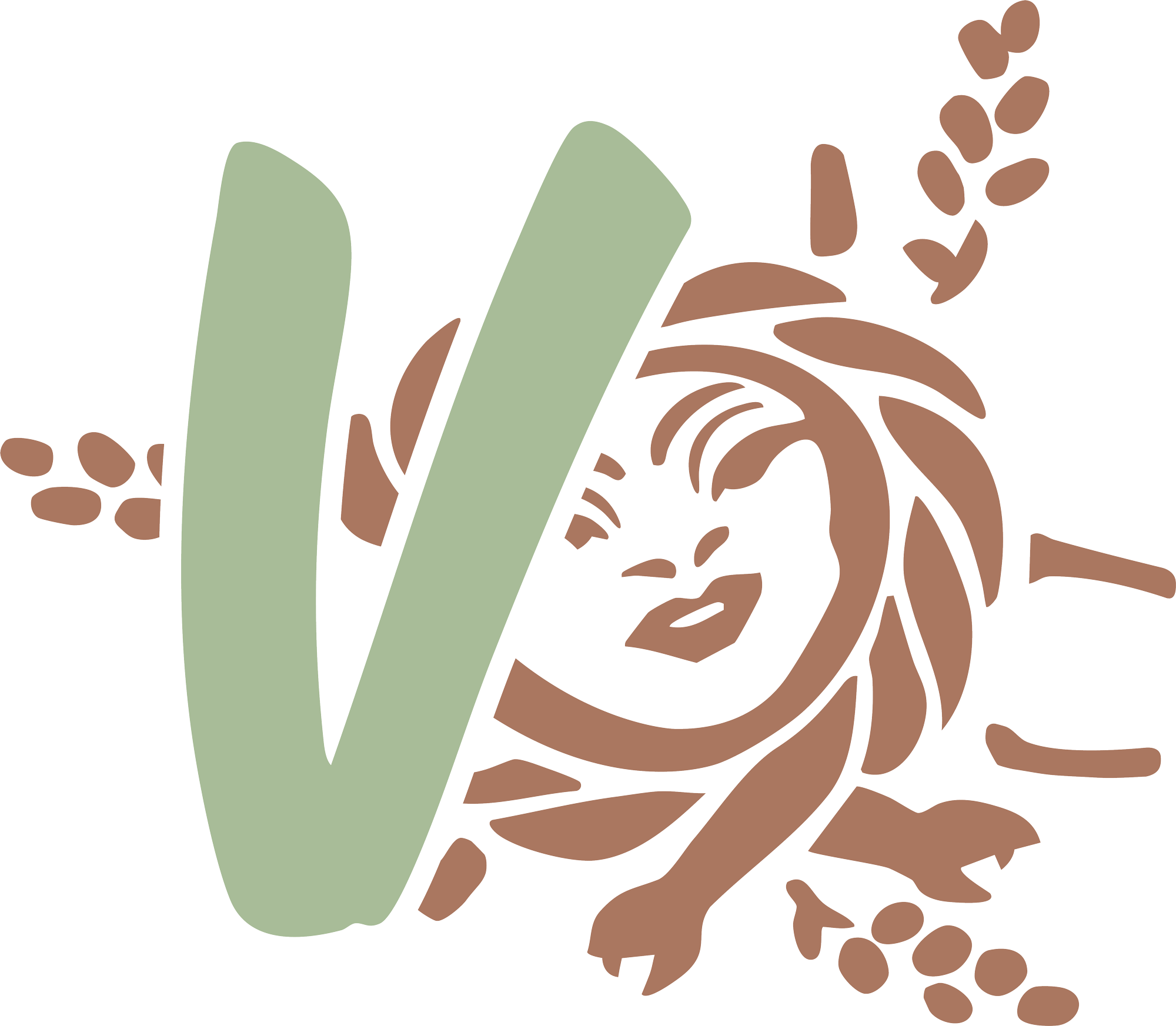 vanissimo_logo_vereinfacht